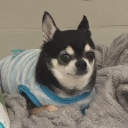 땡구파파
