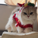 你相信輸光嗎