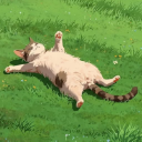 Chubby_cat