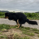 Sam_