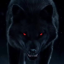 Night wolf