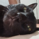 Zelao