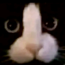 JemweII ʕᵔᴥᵔʔ