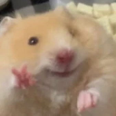 O_~v_뀨