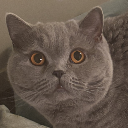 GattoGeraldine