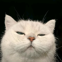 Yve