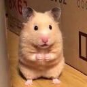 Ratinma