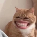 pakbrewok