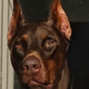 Naughtywashrag