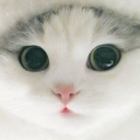 博格西蒙