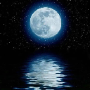 JC獵熊應援團代理團長 Moon