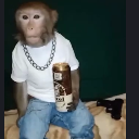 CrazyMonkey