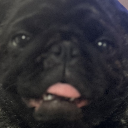 FIENDjr