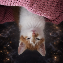 ʎʞsᴉɥM