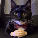 P TheDaredevil P