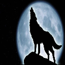 Lord Wolf