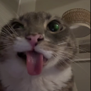 Coffemaniac69
