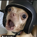 LordAlex