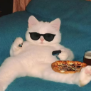 Cozy Cat ᓚᘏᗢ