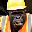 Ape The Builder