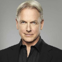 L J Gibbs
