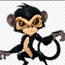 Spider Monkey