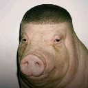 John Pork
