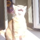 Mulos The Gentle