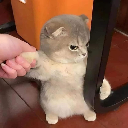 closeonmon