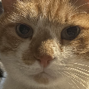Peco