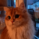 Geist von Lisa #