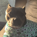 bigpoobag