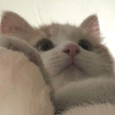 제쓰ᶻᵉˢ