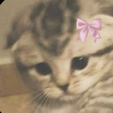 Tulipe