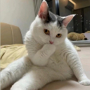 Rina