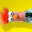 655 muppet