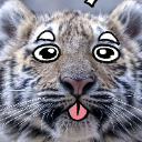 Тoger