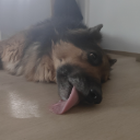 Äuä