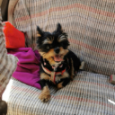 LUPI