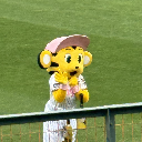 あまね。
