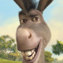 Irish'Donkey