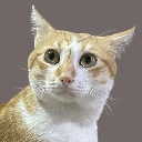 PepperPiñaPapaya