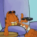 Fin 2207