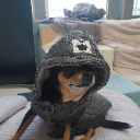 랭키2ʕ·͡ᴥ፝֟·ʔლᴷᴼᴿ