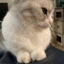 구랙이