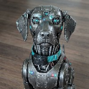 XakkBOT