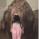 Aug