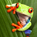 Pio