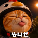 Cat911