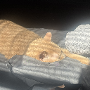NAP Admin Mouse